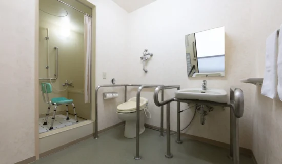 클래식 액세서블츠인