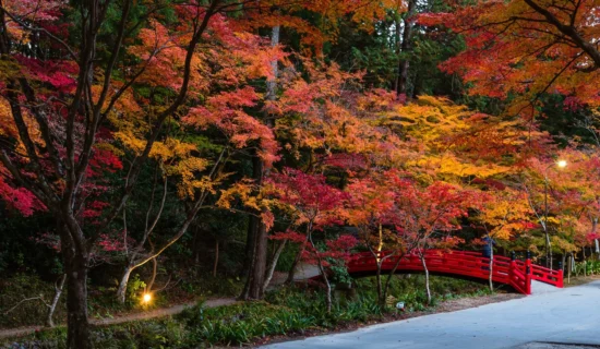 フォトギャラリーイメージ | グランドメルキュール沖縄残波岬リゾート