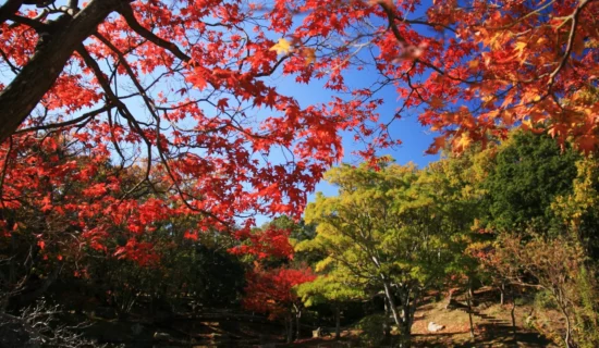 フォトギャラリーイメージ | グランドメルキュール沖縄残波岬リゾート